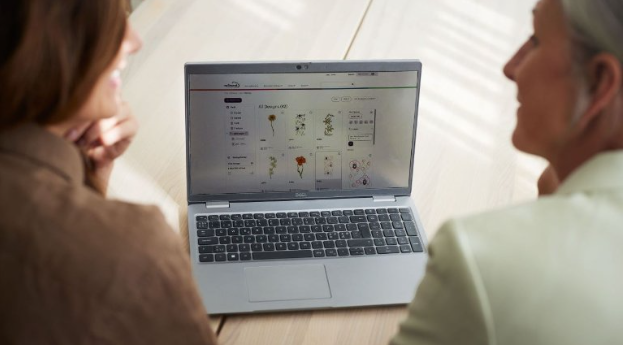 Vault - Introdução