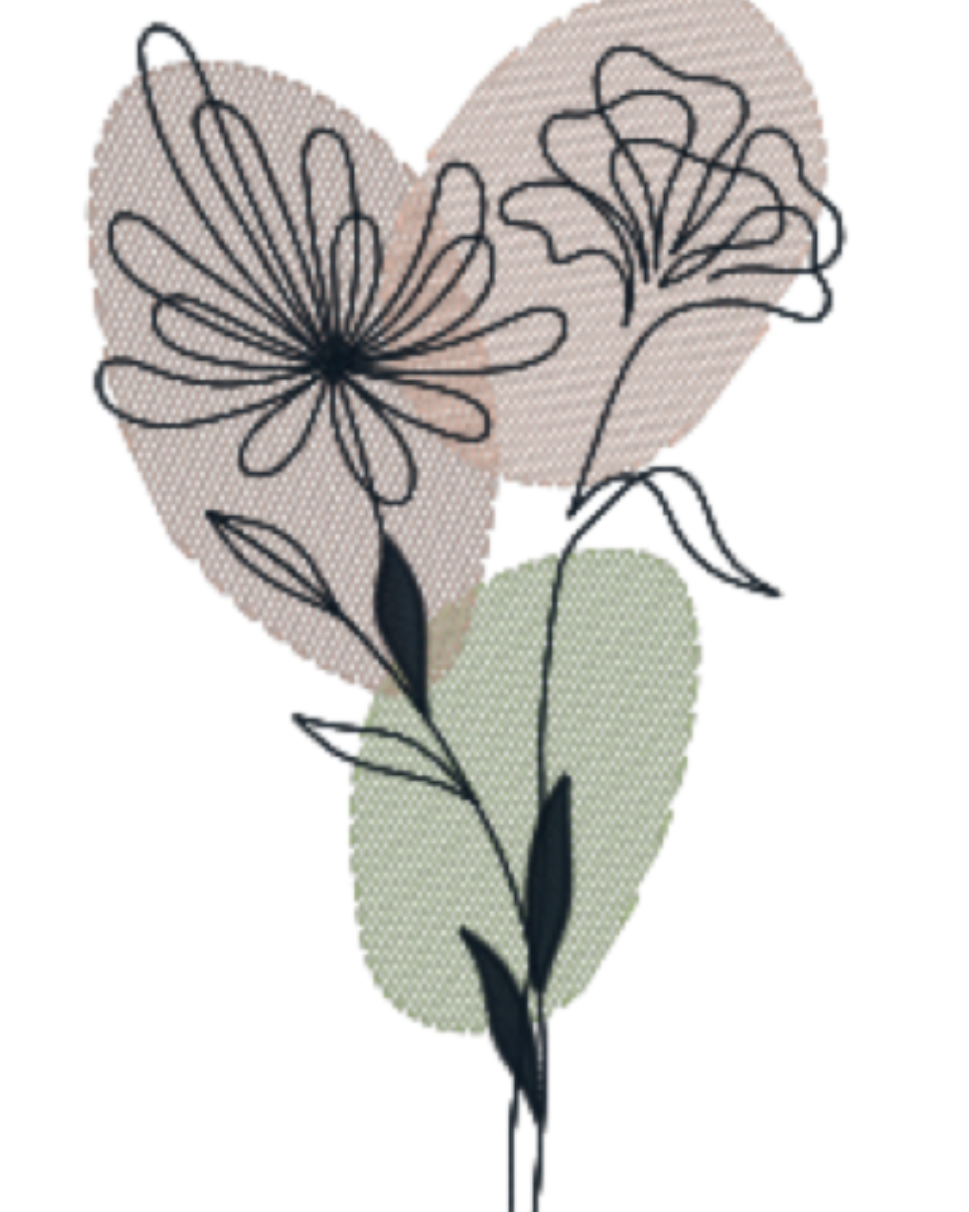 Dibujo lineal sobre fondo transparente