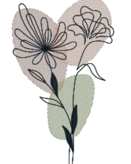 Dibujo lineal sobre fondo transparente