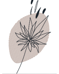 Dibujo lineal sobre fondo transparente