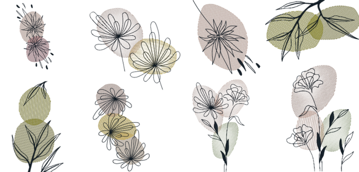 Dibujo lineal sobre fondo transparente