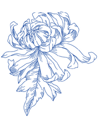 Sketch Bloom Collection