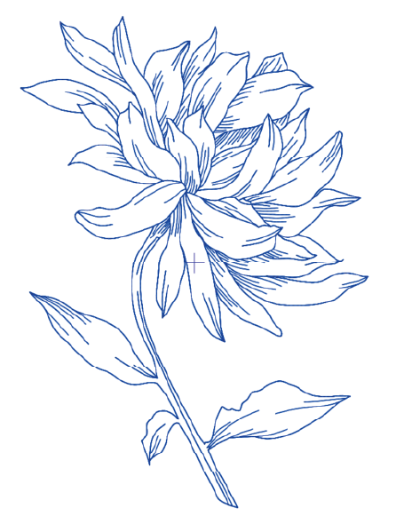 Sketch Bloom Collection